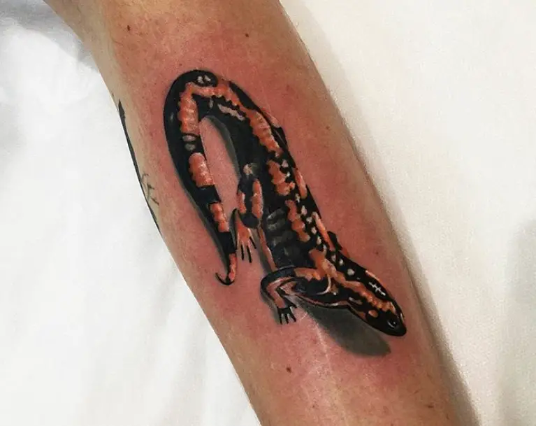 Realistic Salamander Lizard Tattoo on the arm