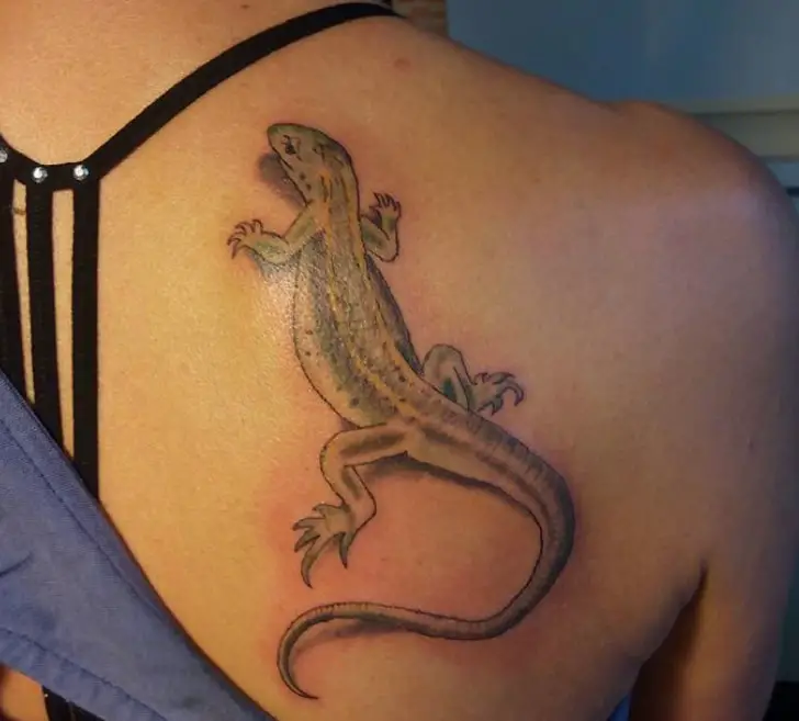 3D Lizard Tattoo on the back