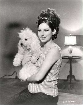 Barbara Streisand sitting on the floor while holding her poodle