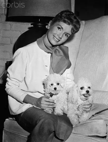 Debbie Reynolds sitting on the couch with her two poodle puppies