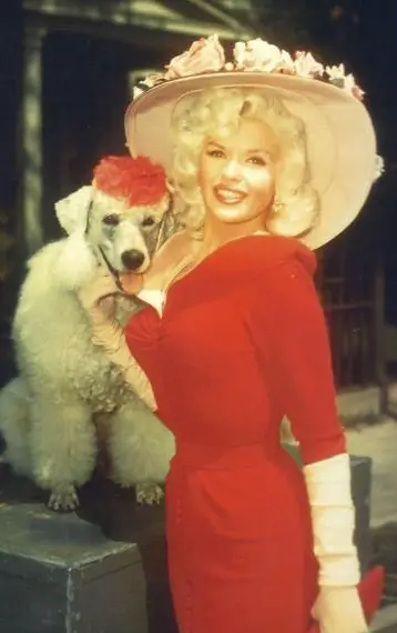 Jayne Mansfield standing next to her poodle sitting on top of box