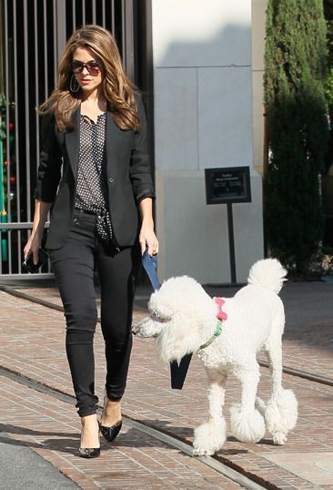 Maria Menounos walking outside her house with her white poodle