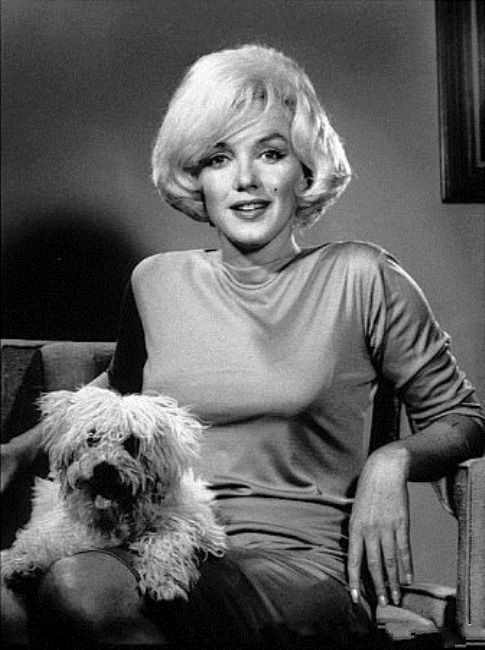 black and white photo of Marilyn Monroe sitting on the chair with her poodle lying in her lap