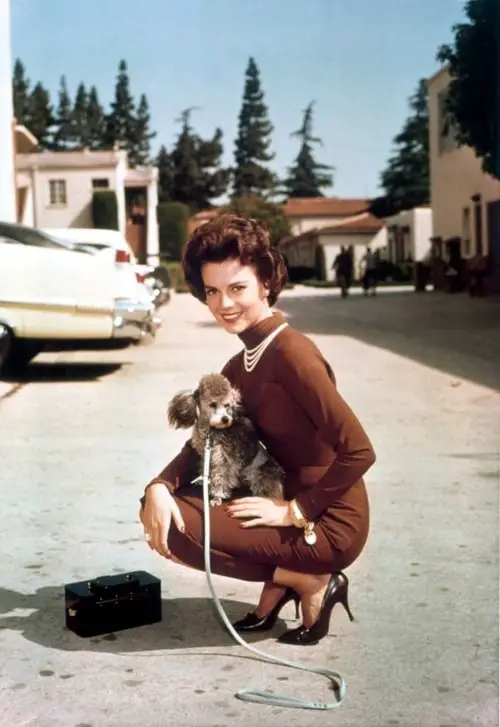 Natalie Wood sitting on the pavement with her poodle sitting on her lap