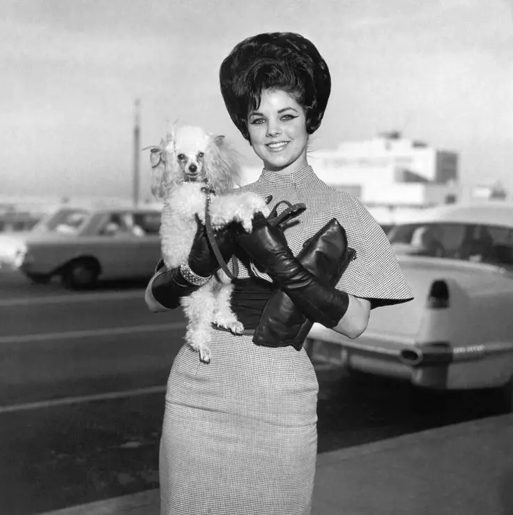 Priscilla Presley standing in the parking lot while carrying her poodle puppy