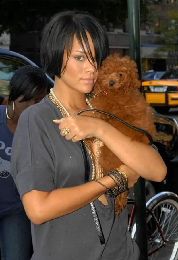 Rihanna walking in the street while carrying her poodle