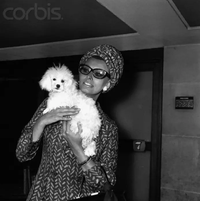 Sofia Loren carrying her poodle puppy