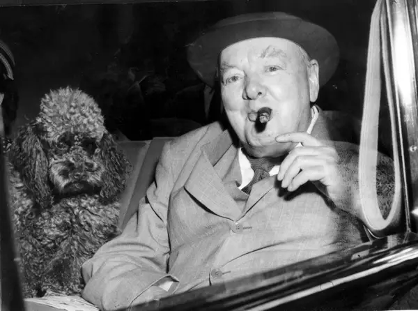 Winston Churchill sitting inside the car next to his poodle
