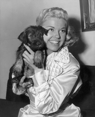 Doris Day hugging her Schnauzer puppy sitting on the sofa