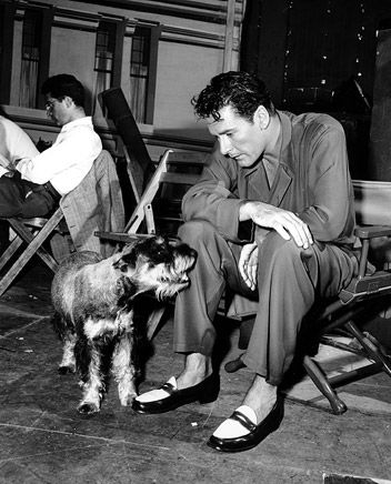 Errol Flynn sitting on the chair while looking at his Weimaraner who is standing on the floor in front of him