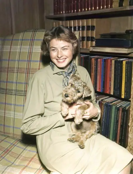 Ingrid Bergman sitting on the sofa with her Schnauzer in her lap