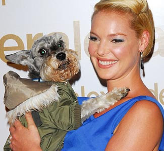 Katherine Heigl carrying her Schnauzer wearing a jacket