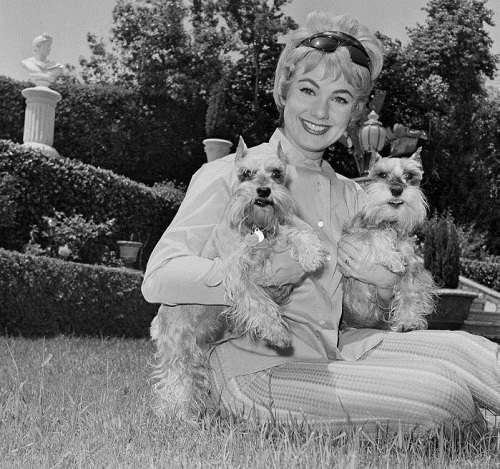 Shirley Jones sitting on the grass while holding her two Schnauzers