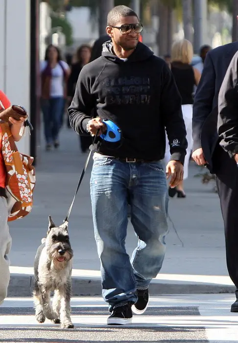 Usher walking in the street with his Schnauzer on a leash