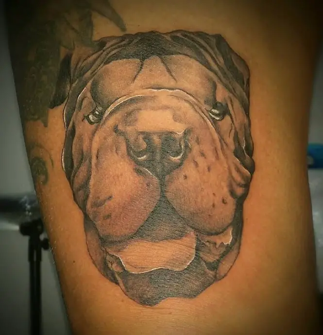 black and gray face of a Shar-Pei tattoo on the thigh
