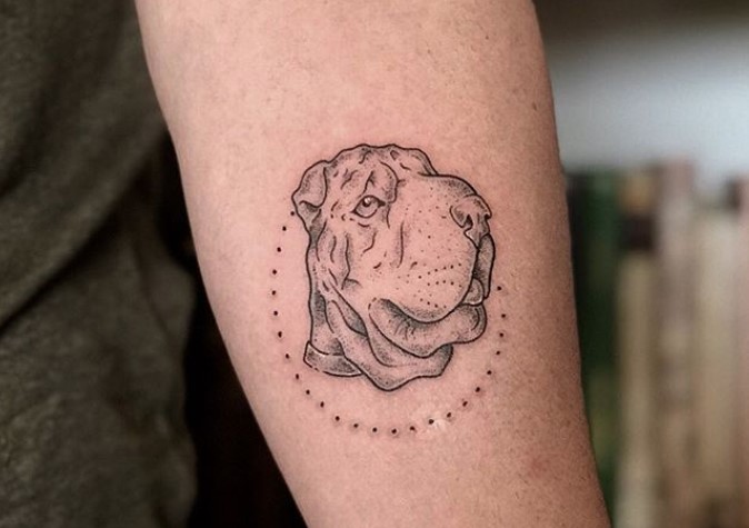 outline sideview face of a Shar-Pei tattoo on the forearm