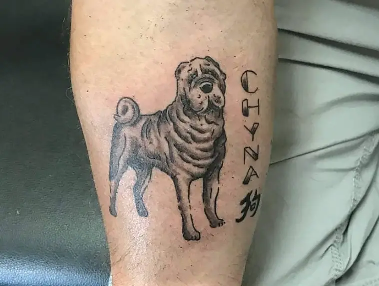 black and gray standing Shar-Pei tattoo on the leg