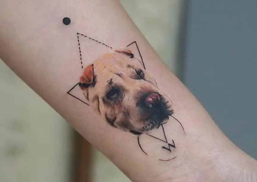 realistic face of a Shar-Pei in a geometric tattoo on the wrist