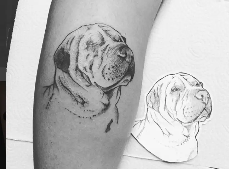 outline face of a Shar-Pei tattoo on the leg
