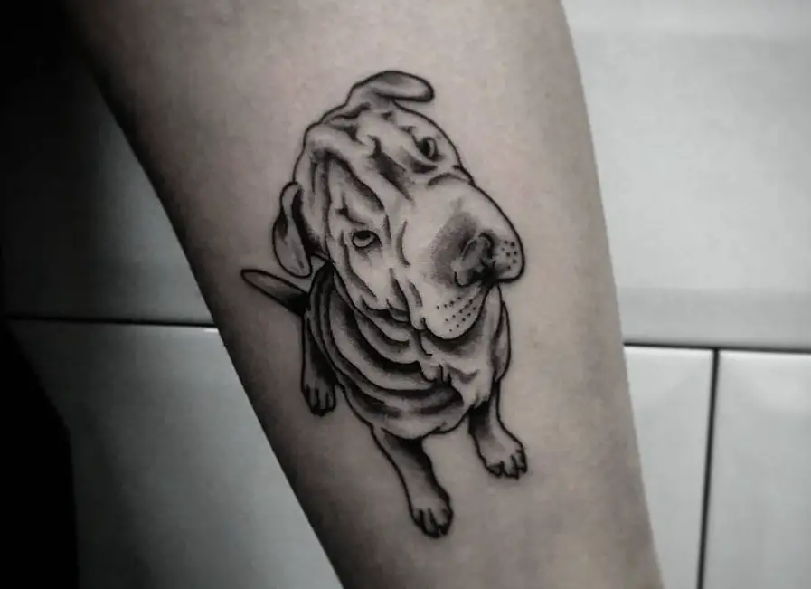 outline 3D of a Shar-Pei sitting tattoo on the thigh