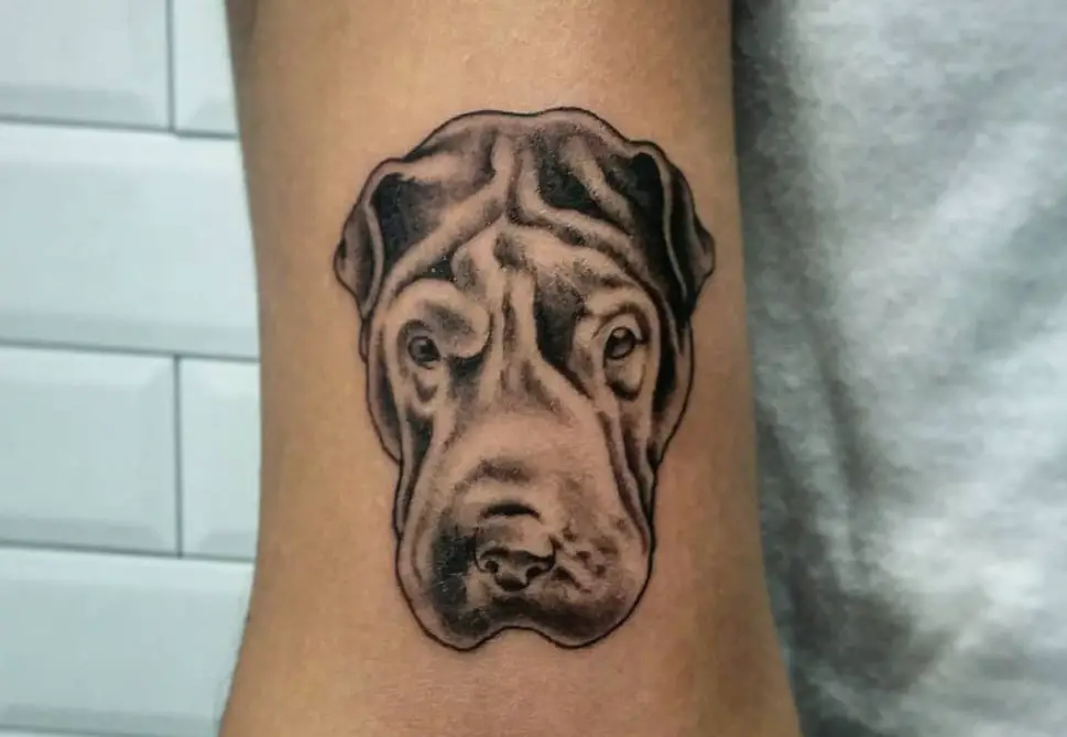 A black and gray face of a Shar-Pei tattoo on the biceps