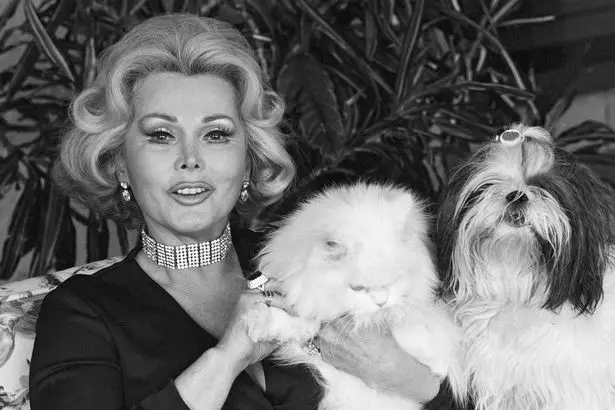 Actress Zsa Zsa Gabor sitting on the couch with her cat and Shih Tzu