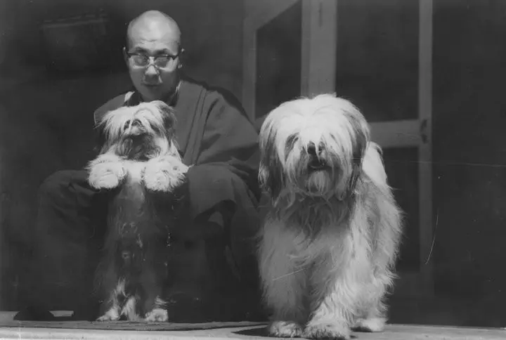 Dalai Lama sitting on the floor with his two Shih Tzus