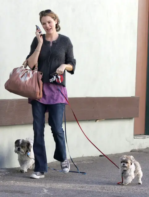 Jacinda Barrett walking by te street with her two Shih Tzus