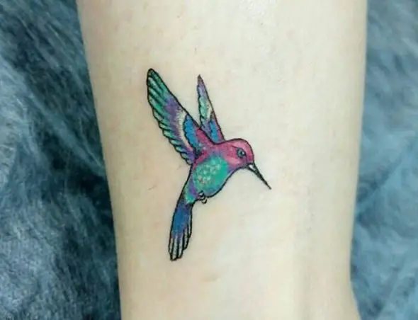 colorful Small Hummingbird Tattoo on the ankle