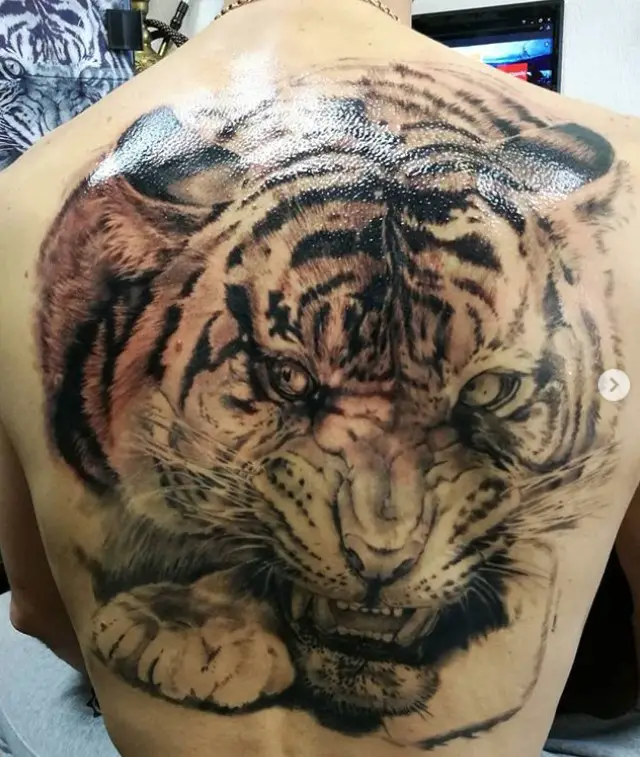 large realistic face of a Tiger Tattoo on the back