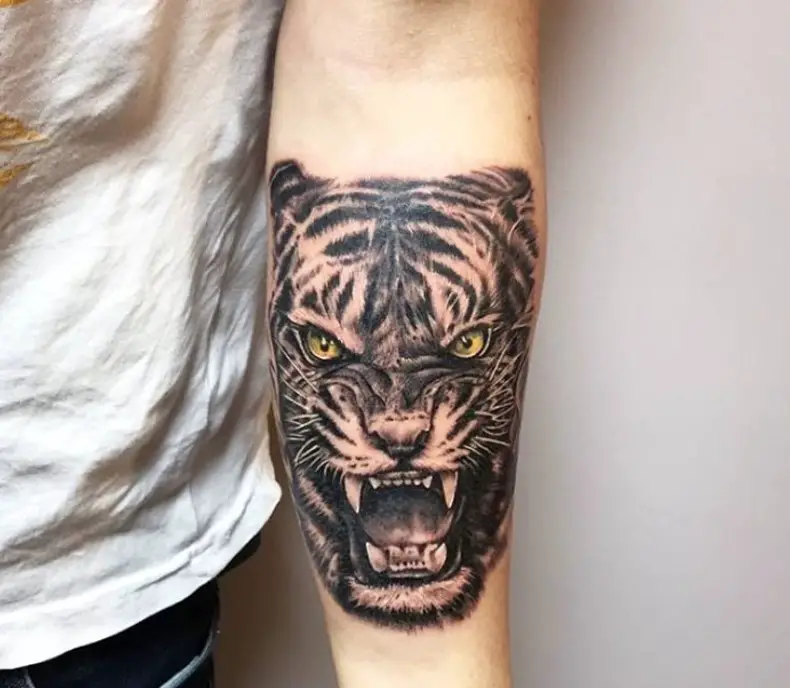 Realistic angry face of a Tiger Tattoo on the forearm