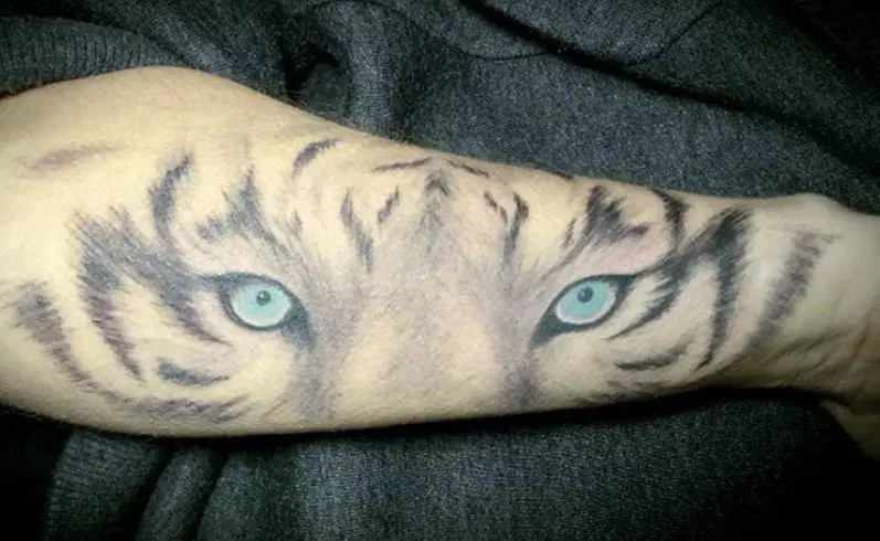 A Tiger with blue eyes Tattoo on the forearm