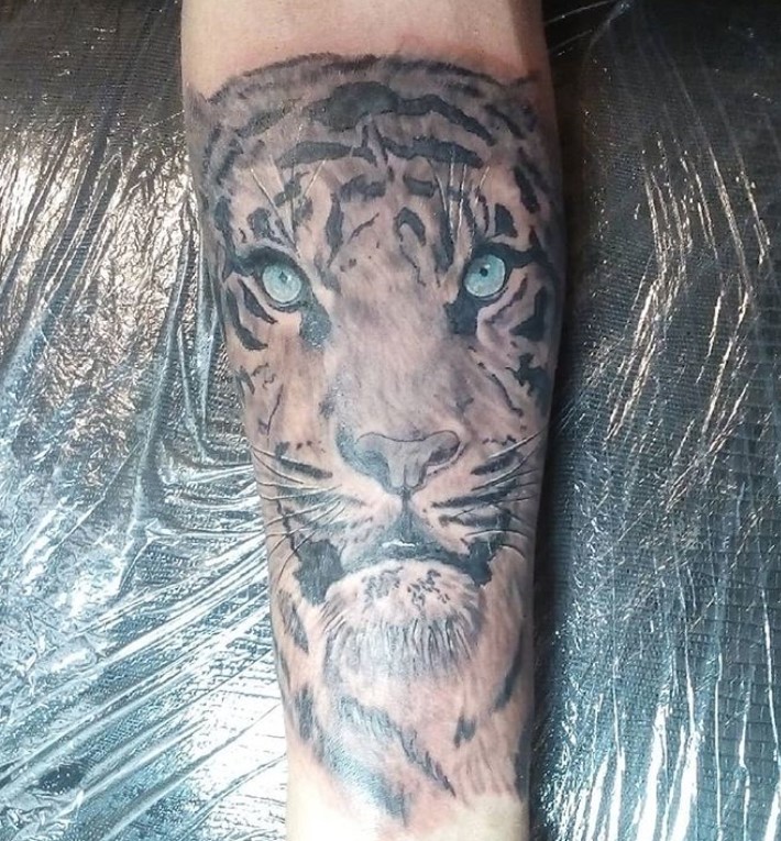 A Tiger with blue eyes tattoo on the forearm