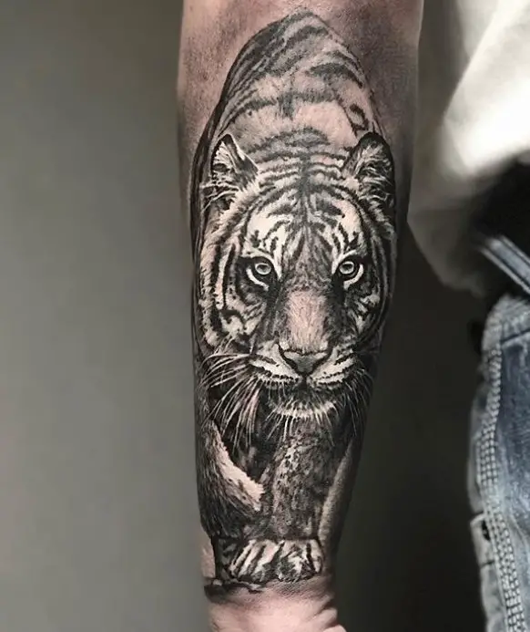 A black and gray 3D face of a Tiger Tattoo on the forearm