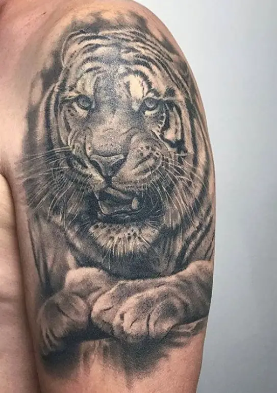 3D Tiger Tattoo on the shoulder