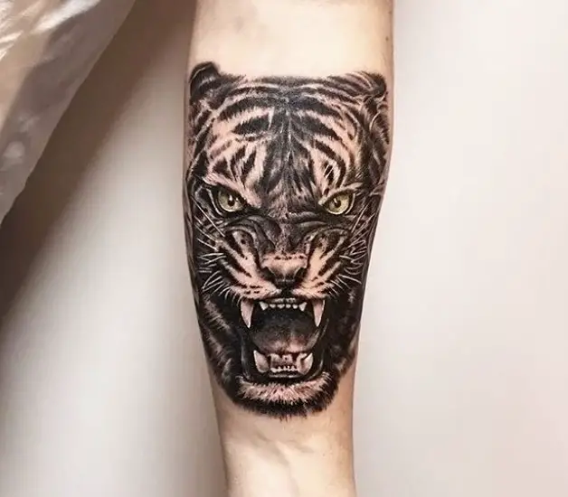 angry face of a Tiger Tattoo on the forearm