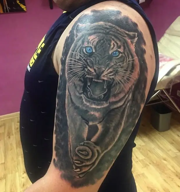 Black tiger with blue eyes tattoo on the shoulder