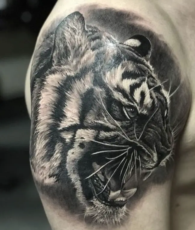 3D angry face of a Tiger Tattoo on the shoulder