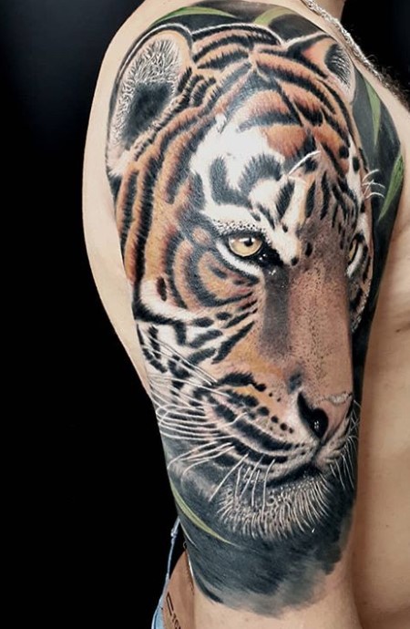 Realistic face of a Tiger Tattoo on the shoulder