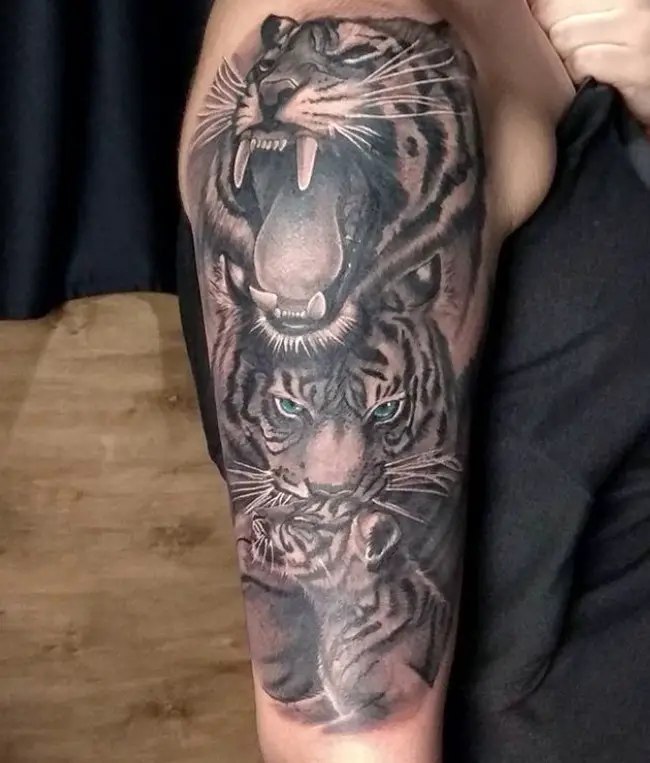 Three 3D black and gray Tiger Tattoo on the shoulder