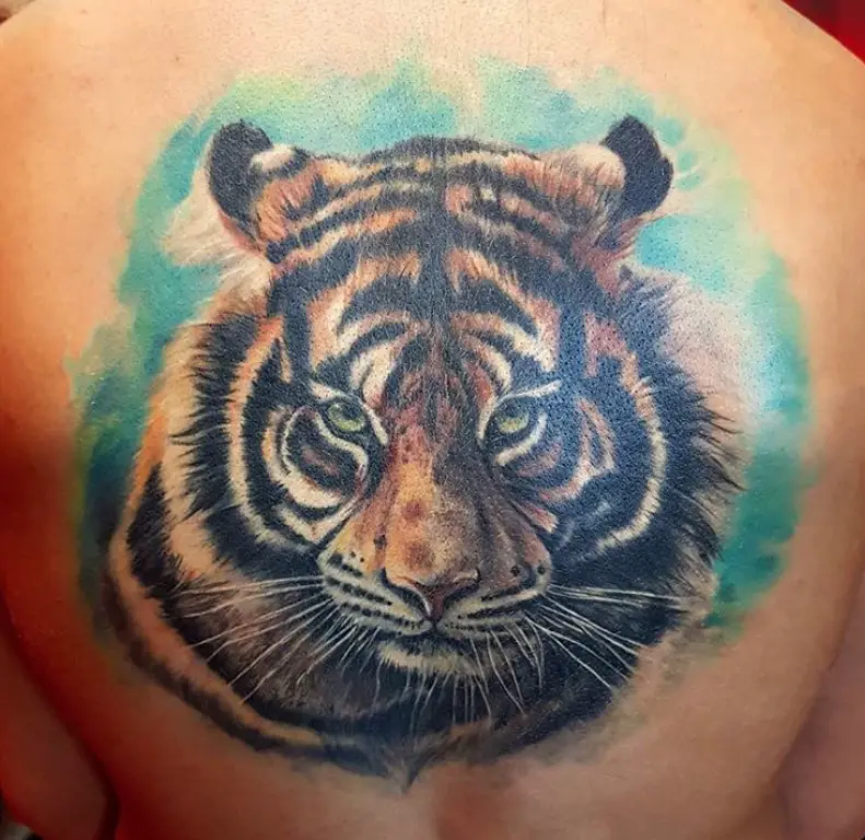Realistic face of a Tiger Tattoo on the back