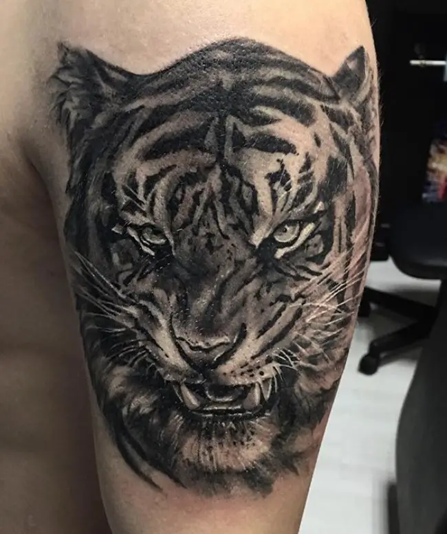 3D black and gray face of a Tiger Tattoo on the shoulder