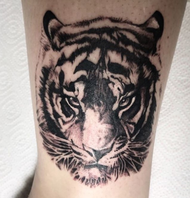3D face of a Tiger Tattoo on the leg