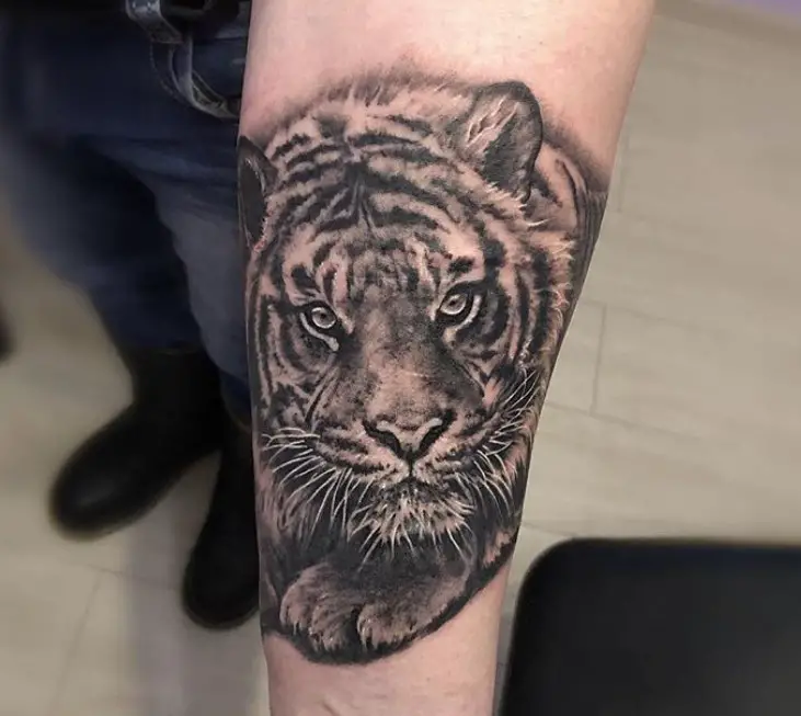 3D Tiger Tattoo on the forearm