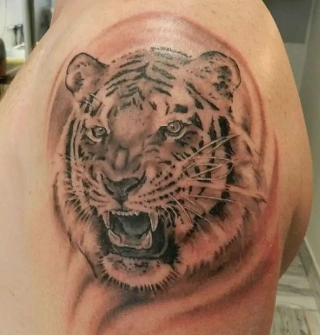 3D angry face of a Tiger Tattoo on the shoulder
