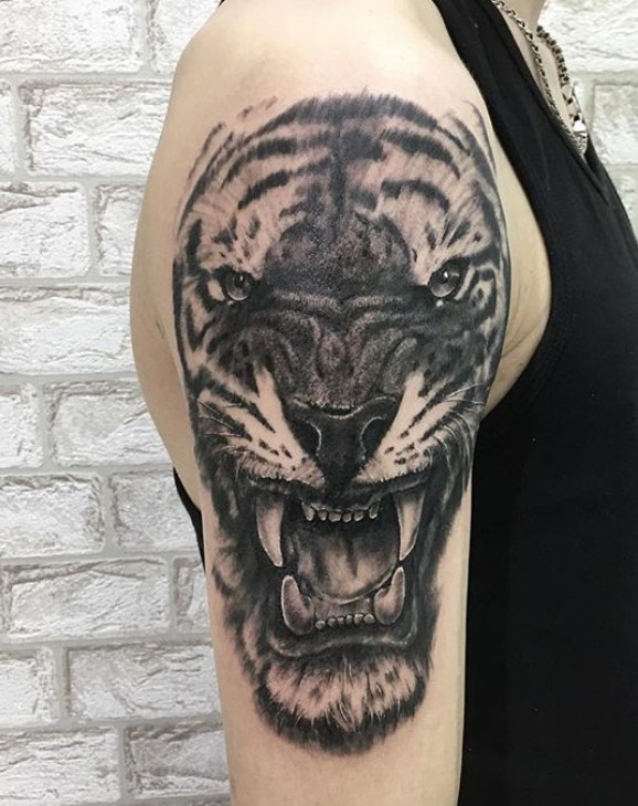 Black and Gray Realistic angry face of a Tiger Tattoo on the shoulder