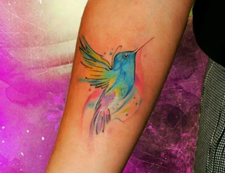 colorful hummingbird water color tattoo on the forearm