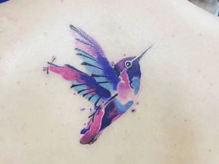blue, pink and purple colored hummingbird tattoo on the back