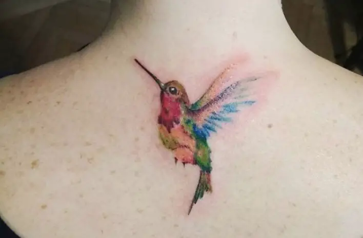 colorful small hummingbird tattoo on the back