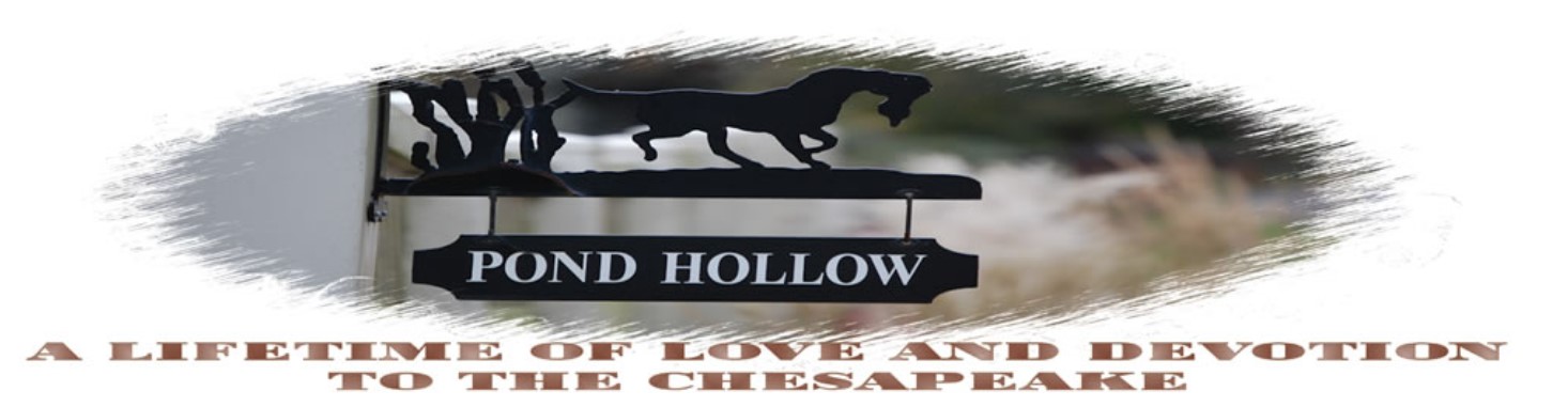 logo of Pond Hollow Chesapake Bay Retrievers breeder